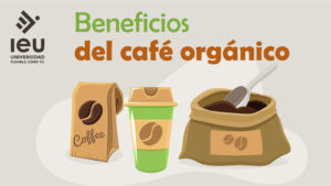 Beneficios Del Café Orgánico 02