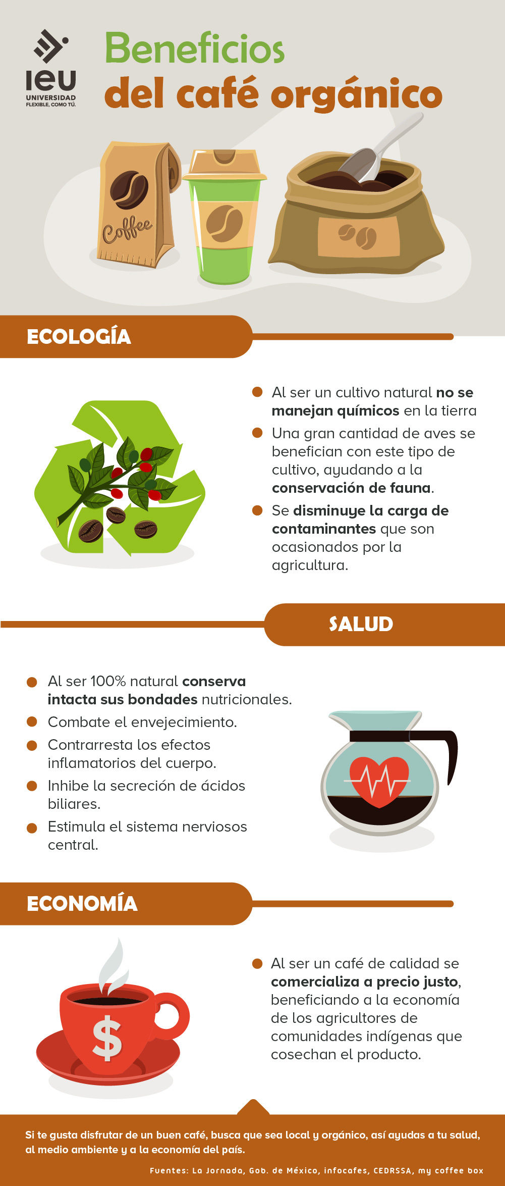 Beneficios Del Café Orgánico Infografia