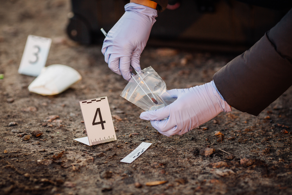 Maestría en Criminología y Victimología