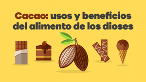 usos del cacao 02 (2)