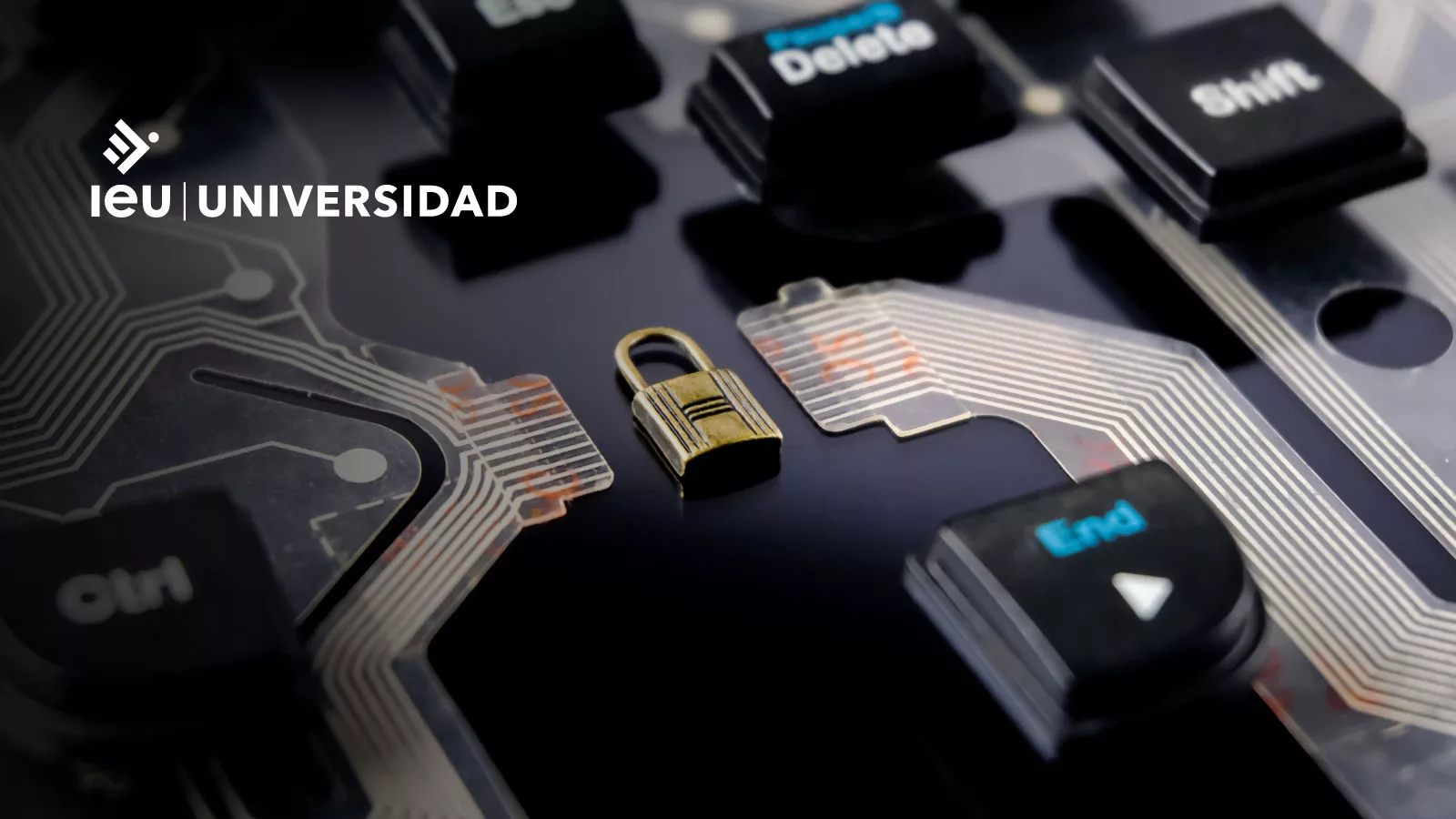 ciberseguridad