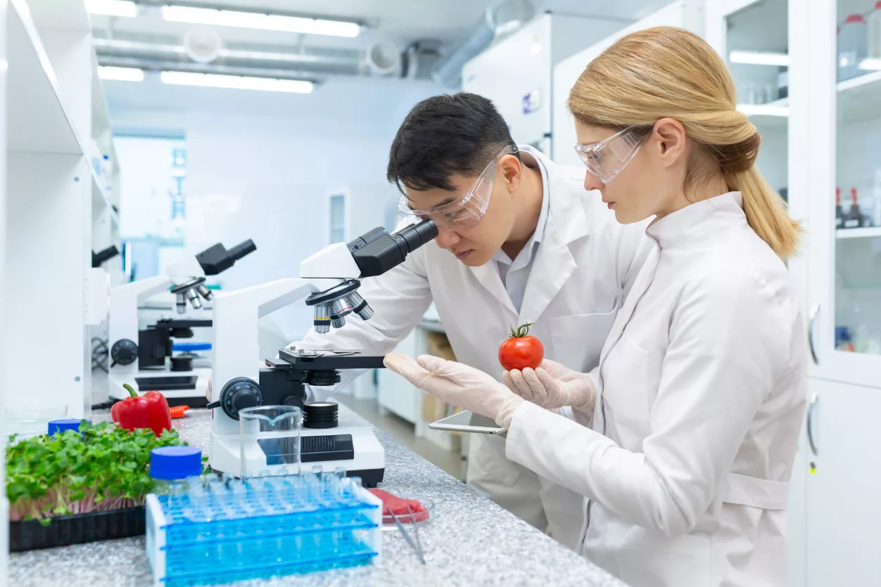 ingenieros alimenticios laboratoristas analizando la calidad de los jitomates
