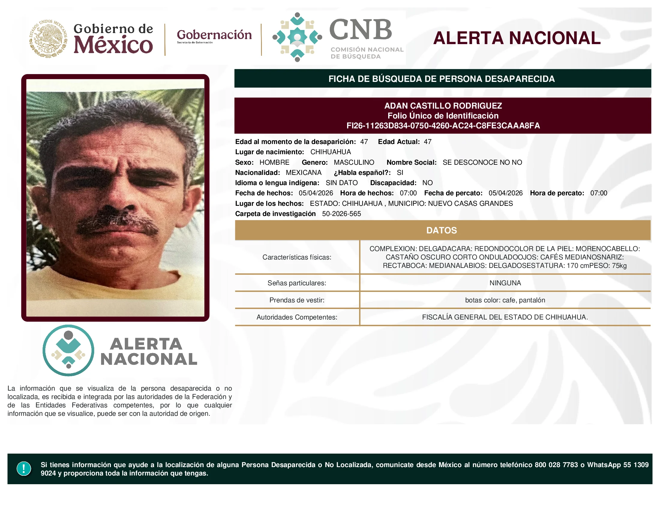 Adan Castillo Rodriguez