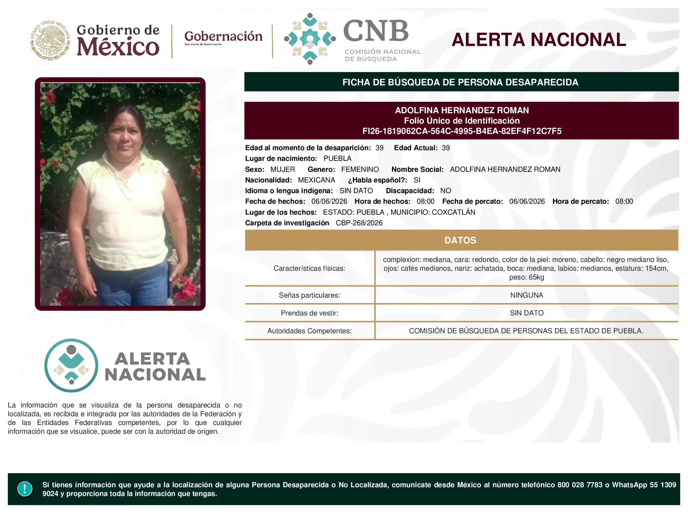 Adolfina Hernandez Roman