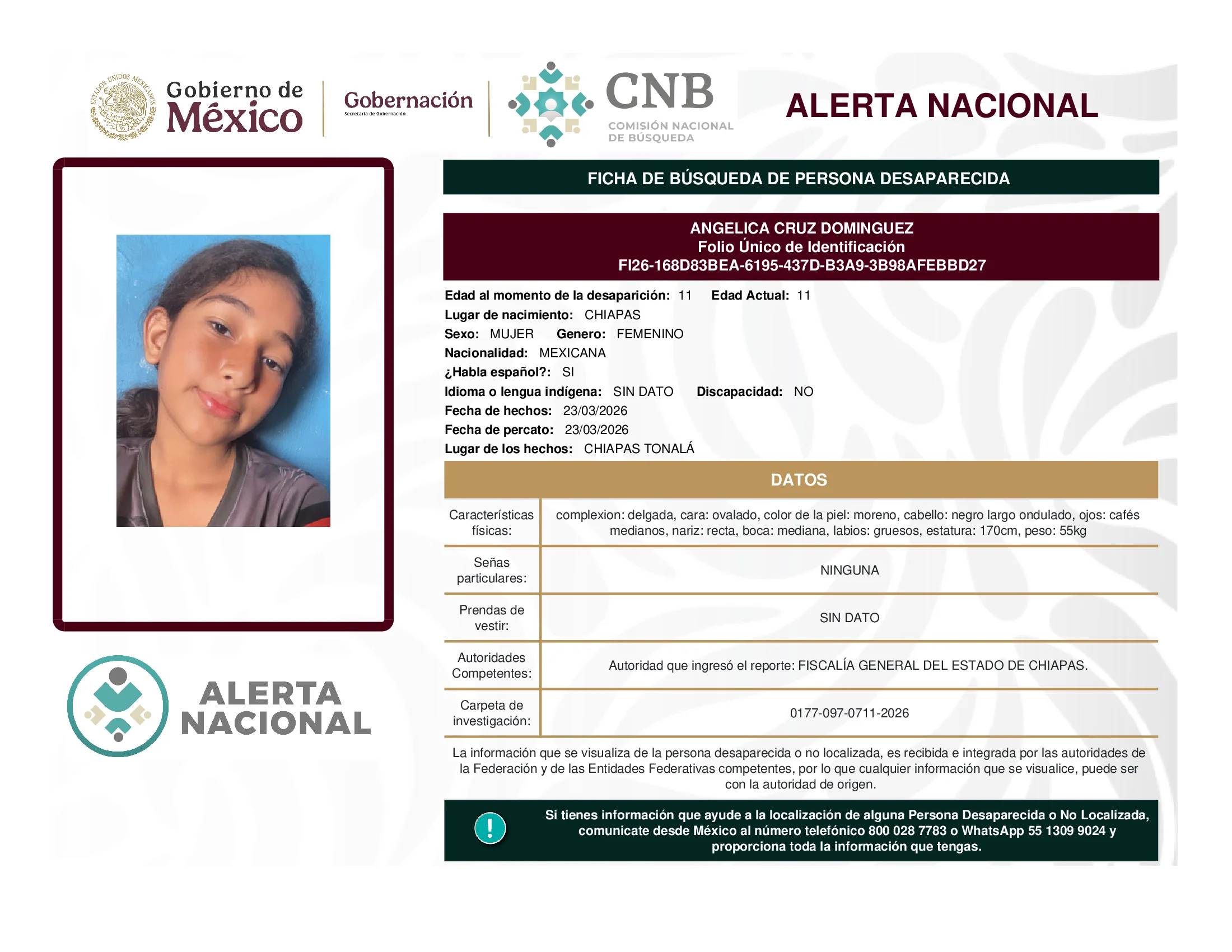 Angelica Cruz Dominguez