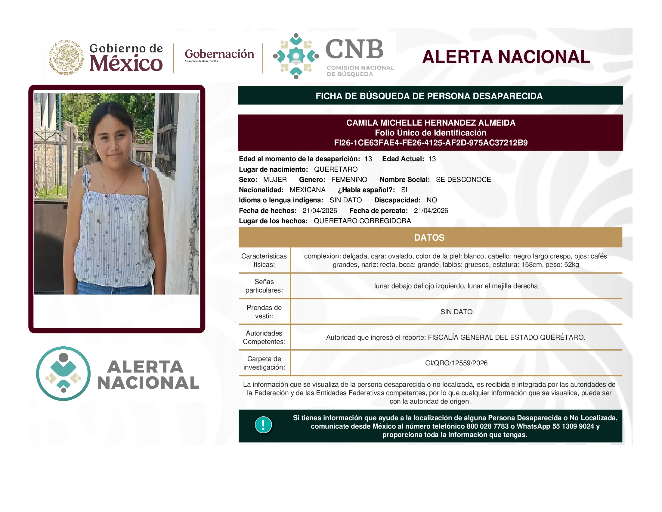 Camila Michelle Hernandez Almeida