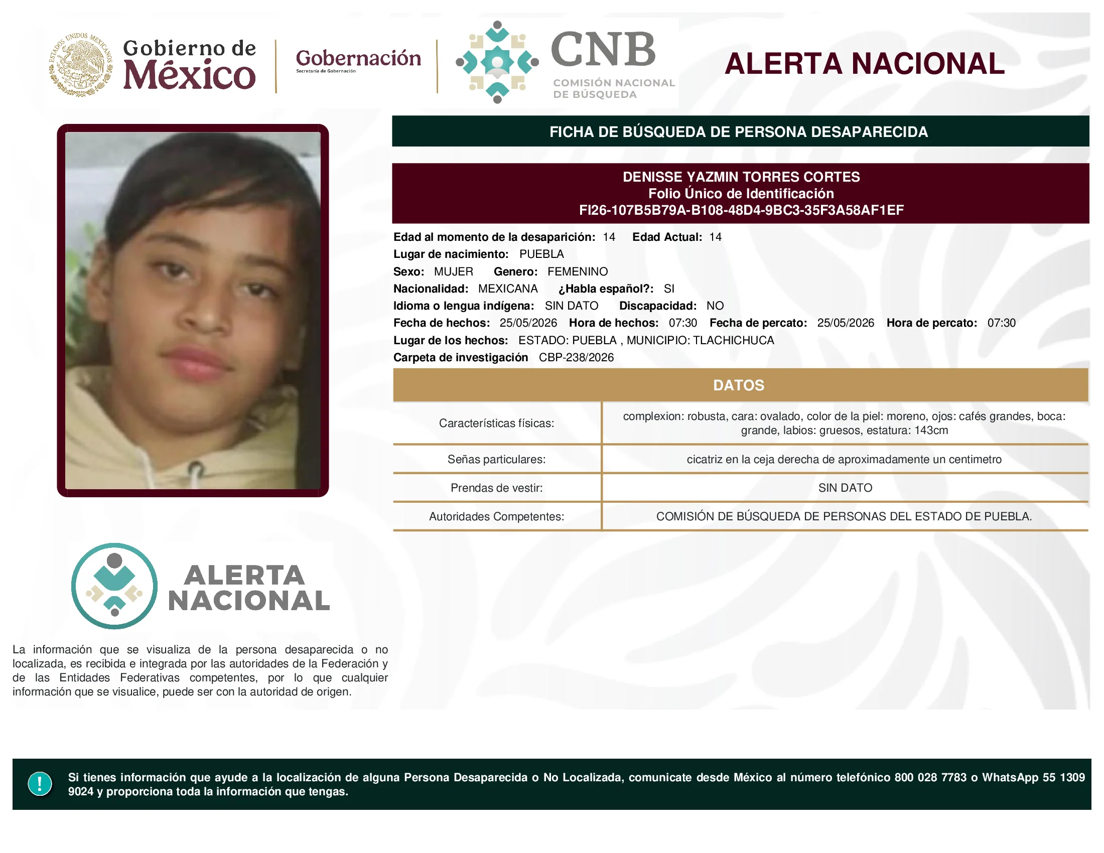 Denisse Yazmin Torres Cortes