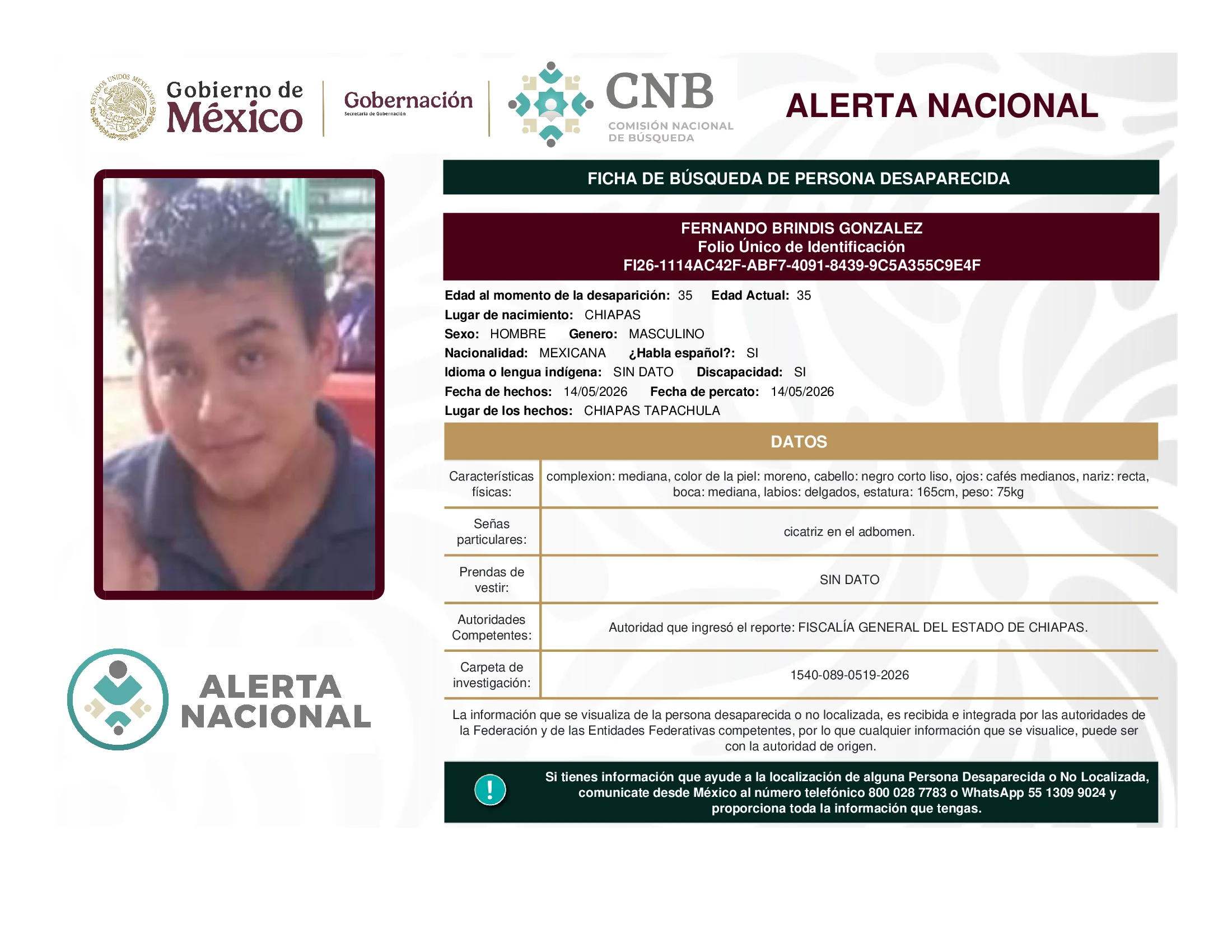 Fernando Brindis Gonzalez