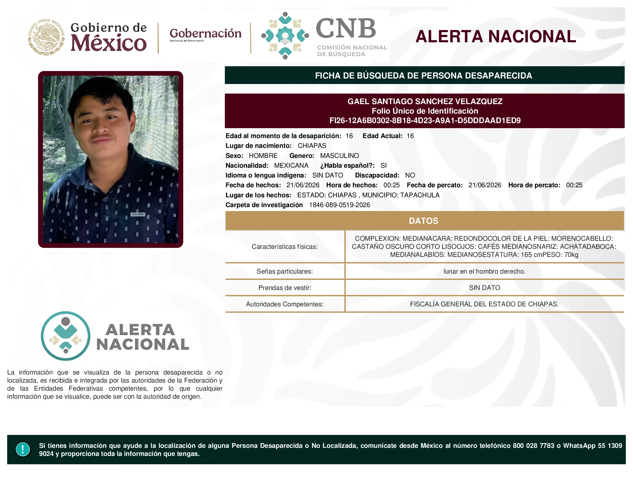 Gael Santiago Sanchez Velazquez