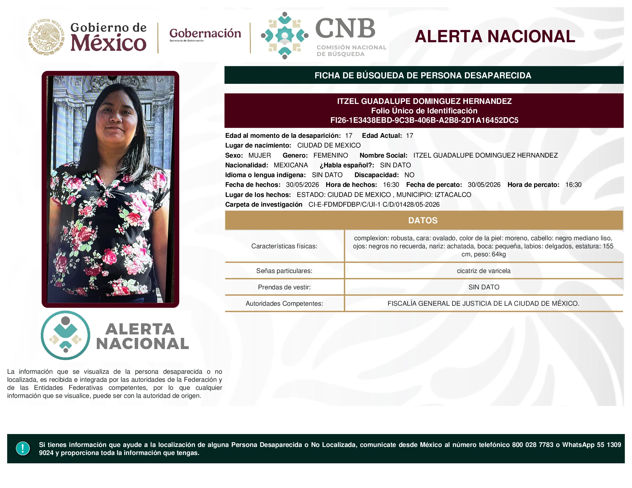 Itzel Guadalupe Dominguez Hernandez