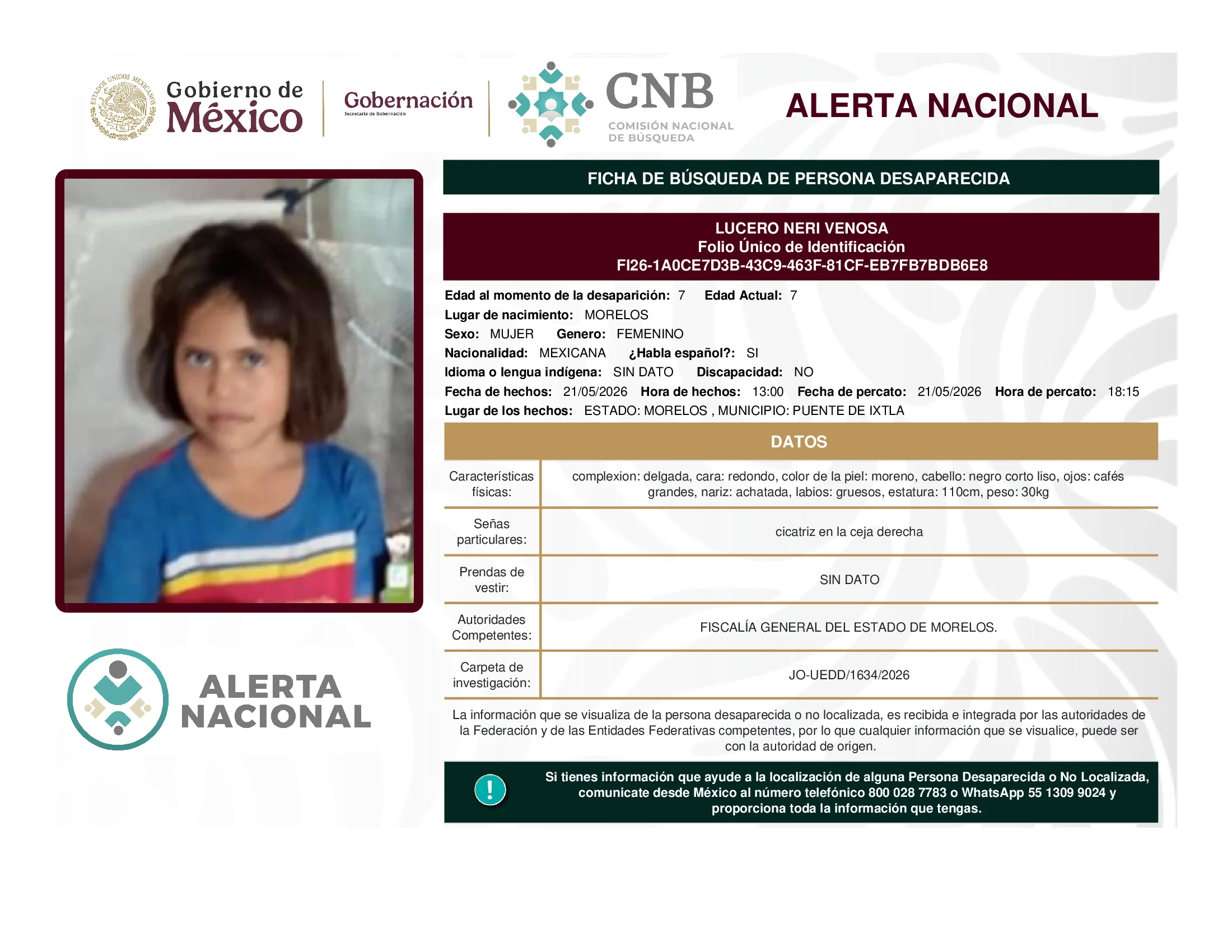 Lucero Neri Venosa