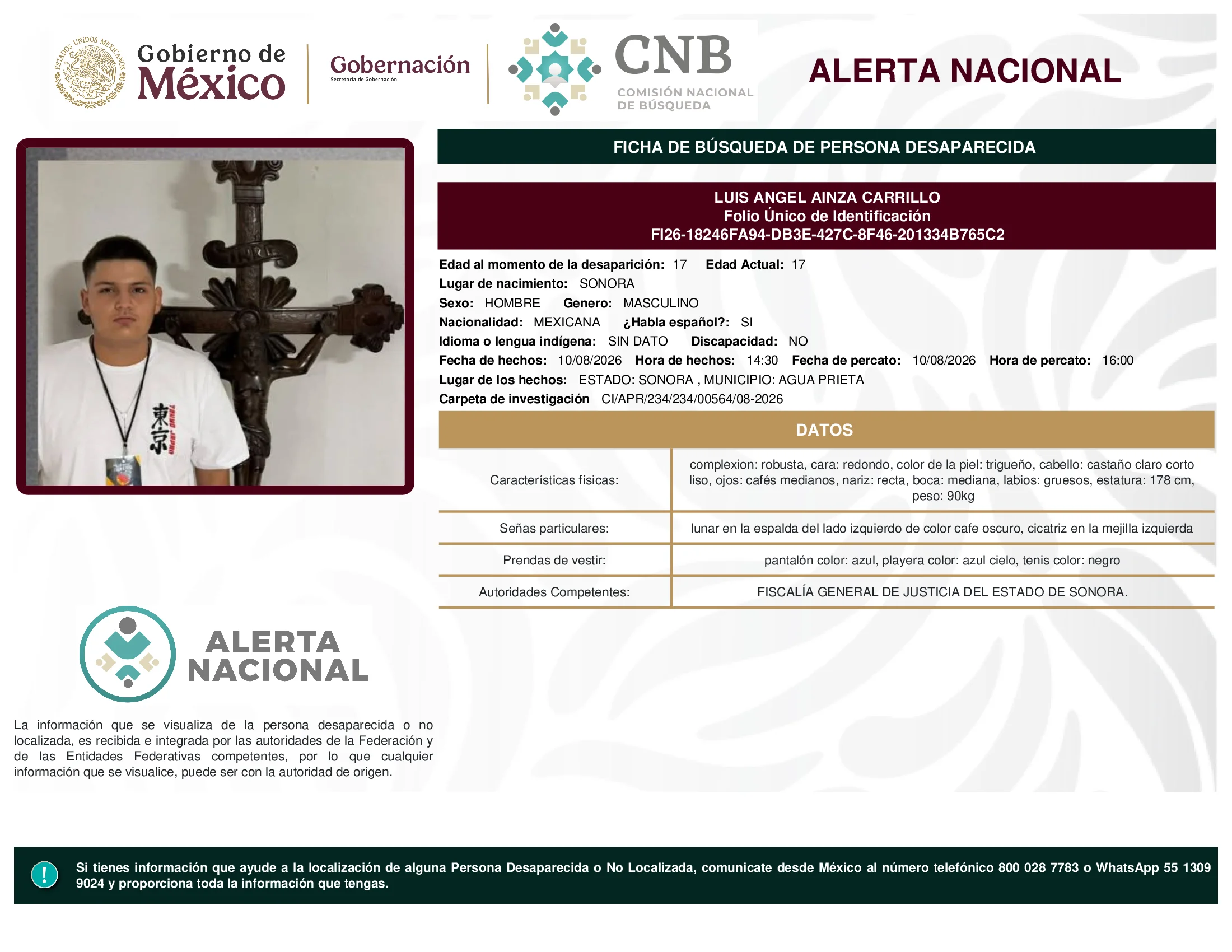 Luis Angel Ainza Carrillo