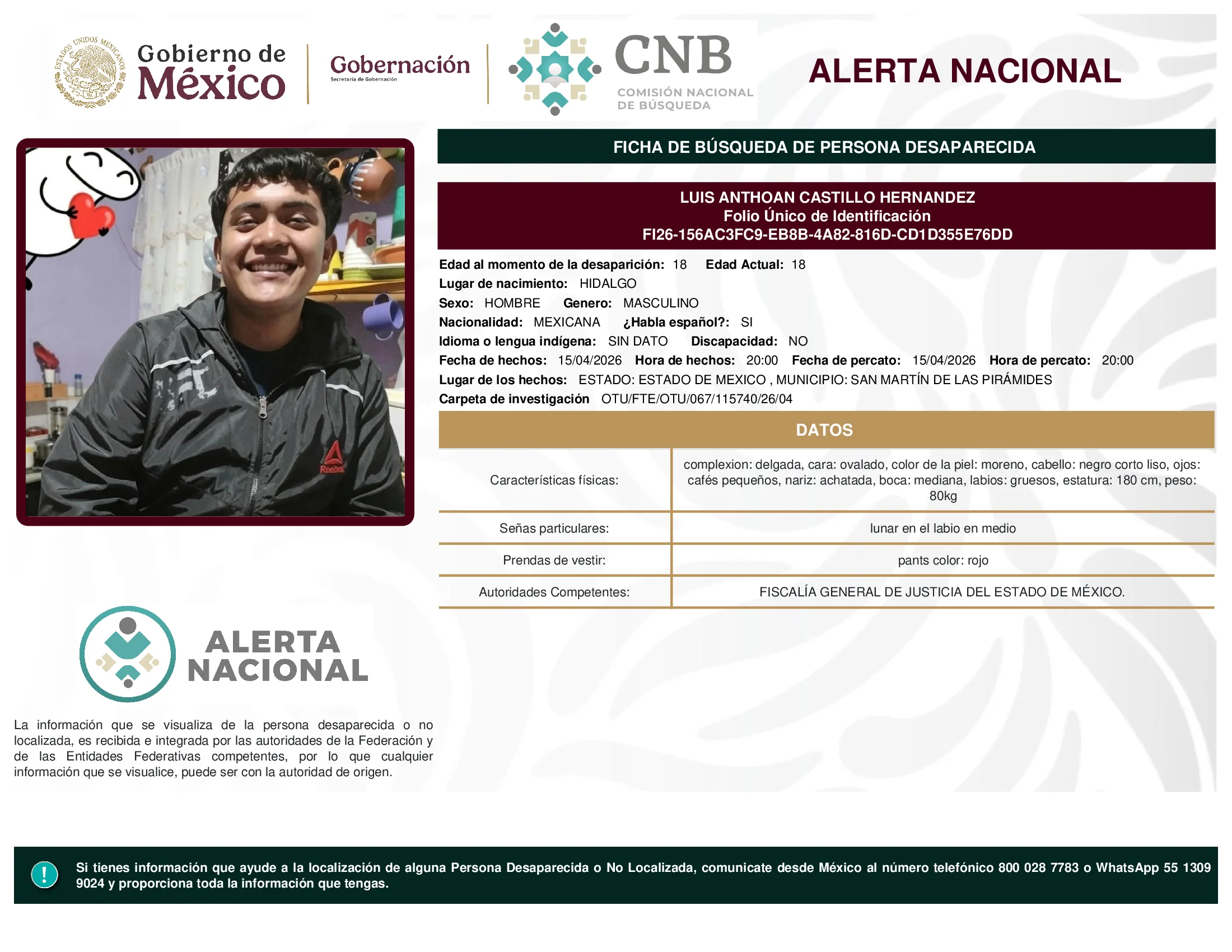Luis Anthoan Castillo Hernandez