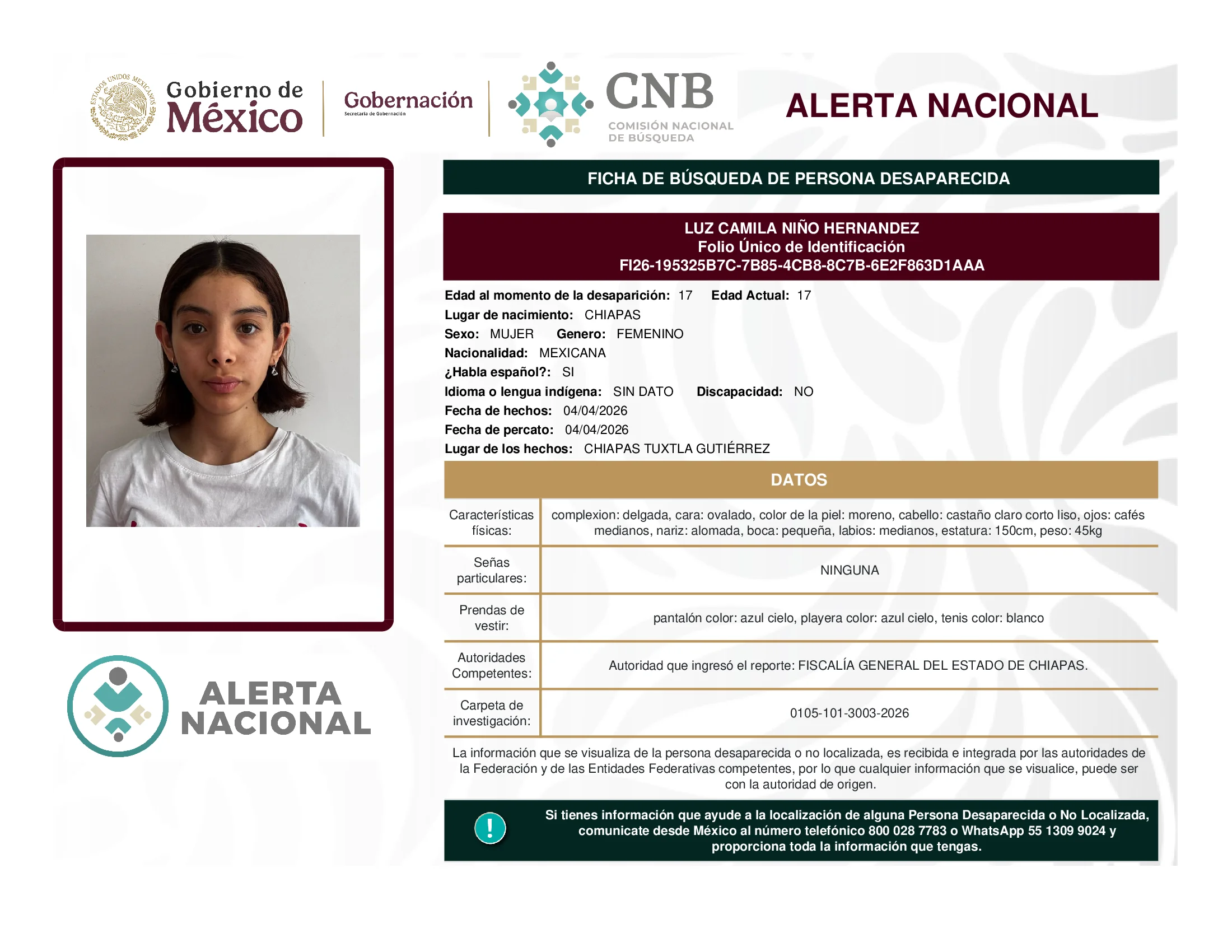Luz Camila Niño Hernandez