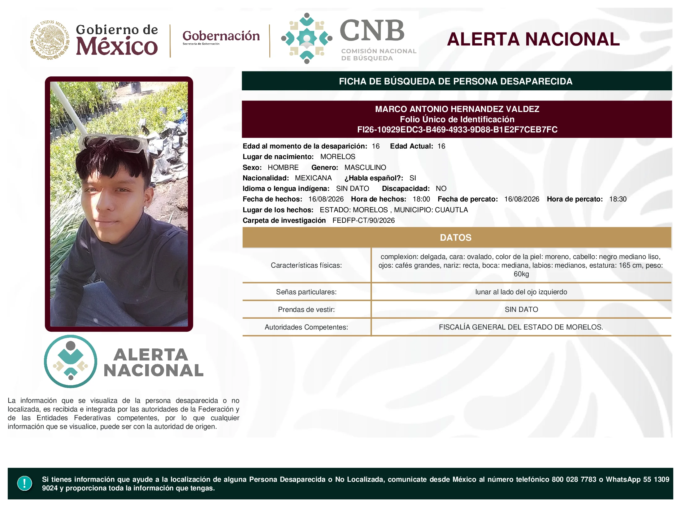 Marco Antonio Hernandez Valdez