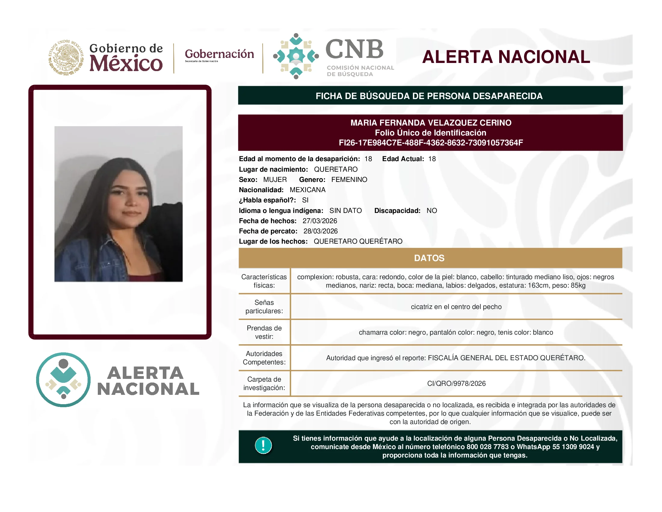 Maria Fernanda Velazquez Cerino