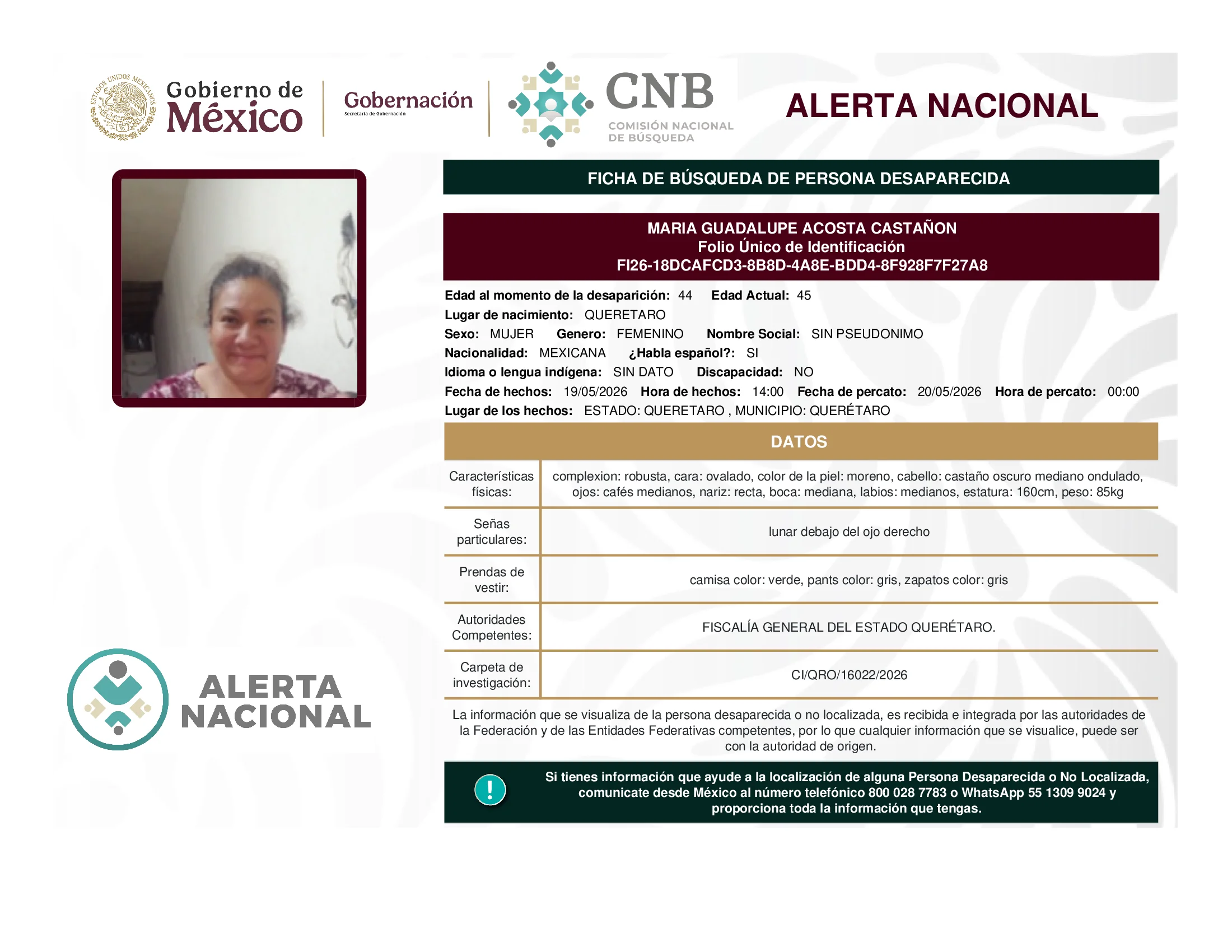 Maria Guadalupe Acosta Castañon