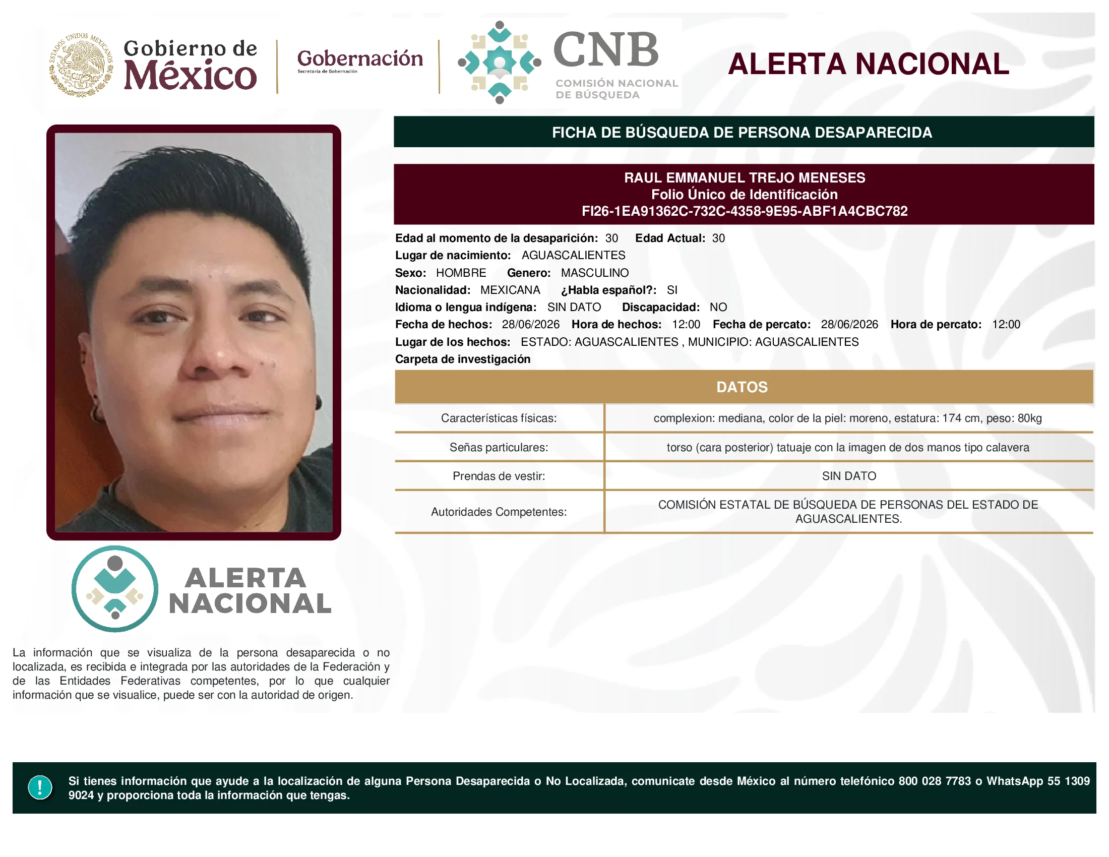 Raul Emmanuel Trejo Meneses