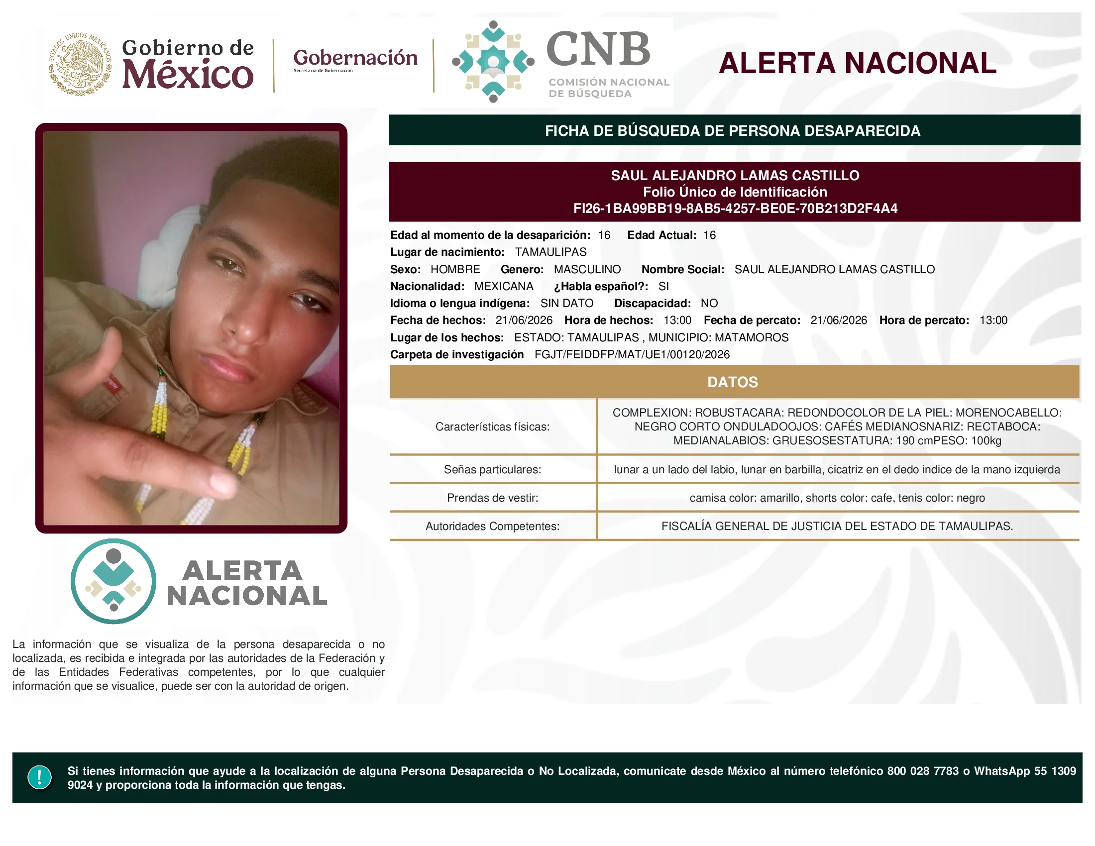Saul Alejandro Lamas Castillo
