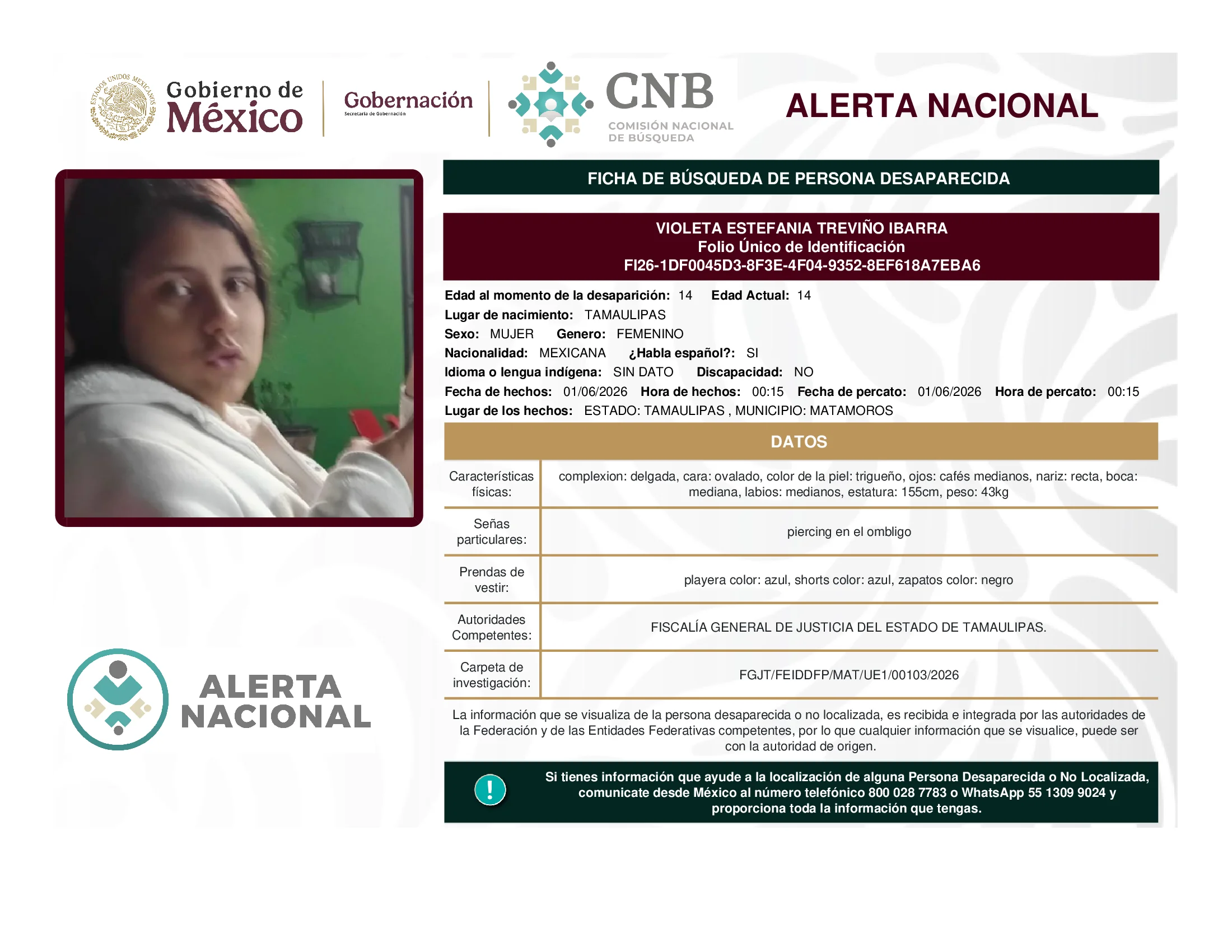 Violeta Estefania Treviño Ibarra